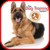 Dog Training for beginners