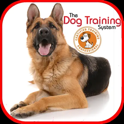Dog Training for beginners Cheats