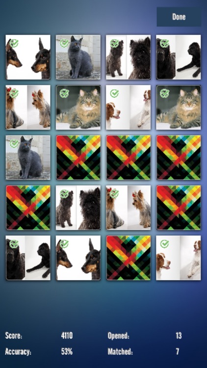 Cats and Dogs Match screenshot-4