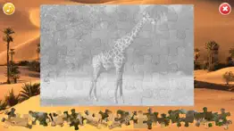 african animals puzzle iphone screenshot 4