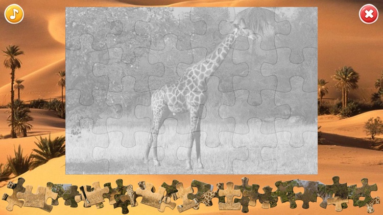 African Animals Puzzle screenshot-3