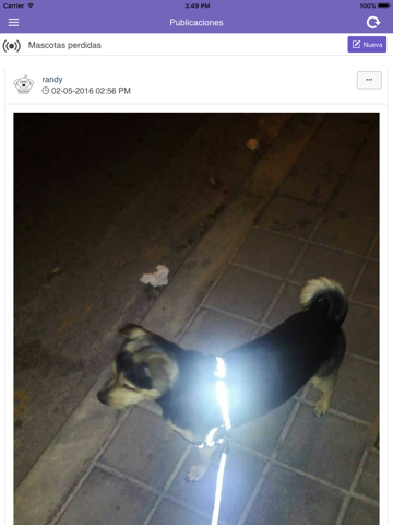 Screenshot #5 pour Petsbook.es