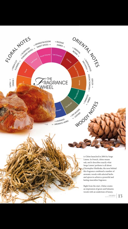 ParfumPlus (English edition) screenshot-4