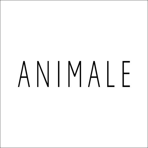 Animale - Moda Feminina