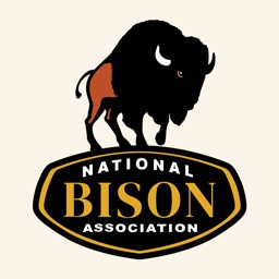 Buysome Bison