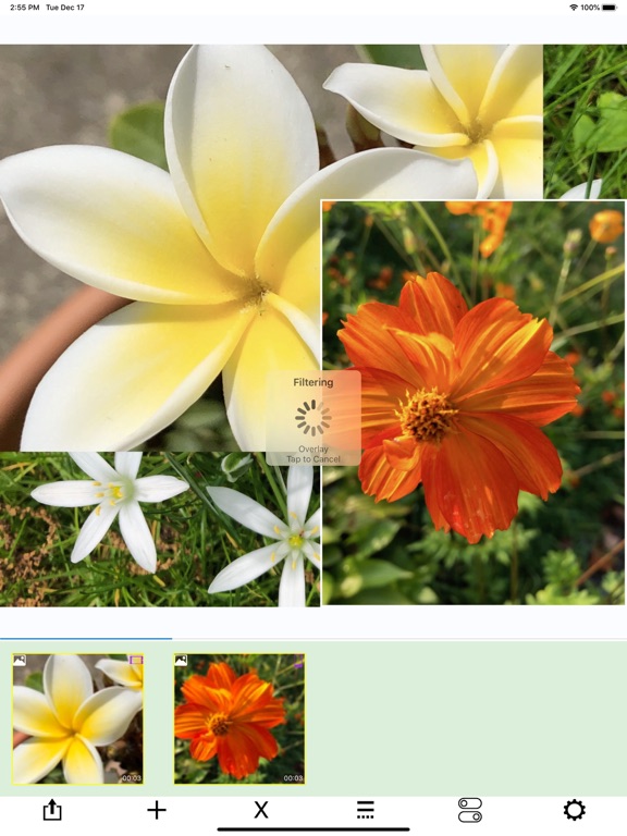 AddMovie iPad screenshot 10 - Photo & Video app