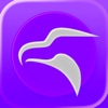Falcon MD icon