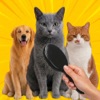 Brush Orange Cat Challenge icon
