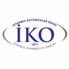 IKO Fiyat icon