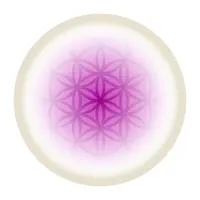 Welligama: Breathe to Scroll
