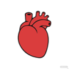 Live Heart Beat - Brian Wright