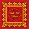 Risalei Nur Külliyatı icon