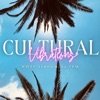 Cultural Vibrations icon