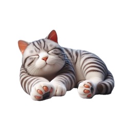 Sleeping American Shorthair