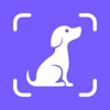 Feedog: homemade dog food diet icon