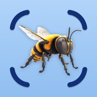 Insect Identifier BugCam AI