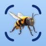 Get Insect Identifier: BugCam AI for iOS, iPhone, iPad Aso Report