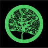 Rrjeta icon