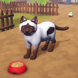 Little Pet: Cat Simulator Game