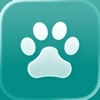 Dog walk, pet care icon