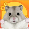 Tycoon Hamster Cookie Factory