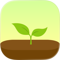 Forest - Mantente concentrado