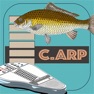 Get C.ARP for iOS, iPhone, iPad Aso Report