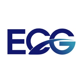 ECG Beekeeping Fun Record