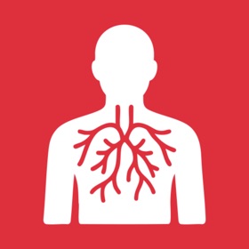 ARDMS RVT Exam Prep 2026