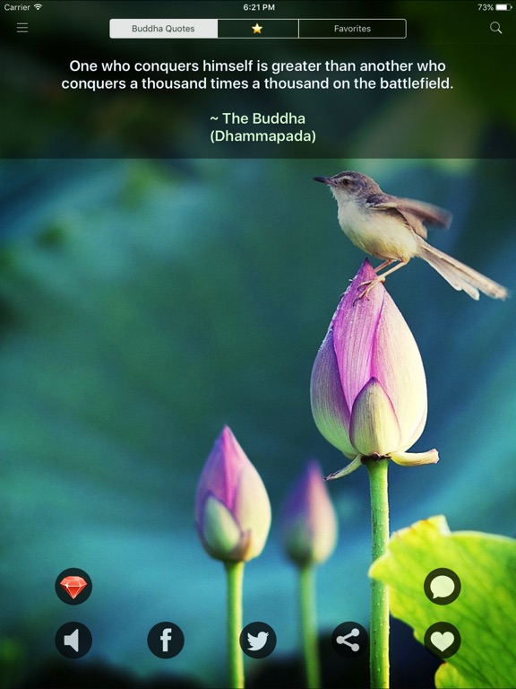 Screenshot #4 pour Buddha Quotes: Buddhist Wisdom