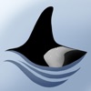 NRKW ID icon