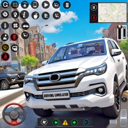 Driving Simulator Driver Test