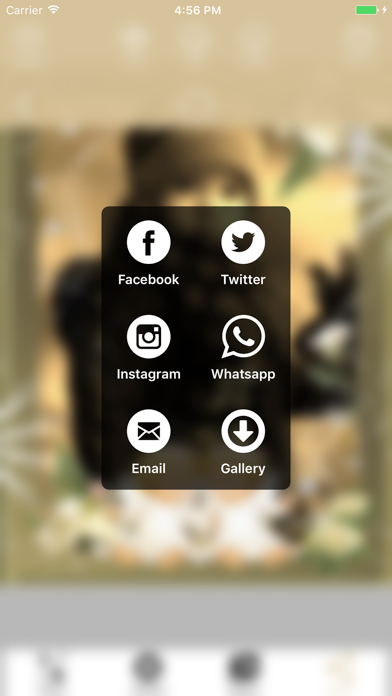 Pic Frames & Background Editor Screenshot 4 of 5