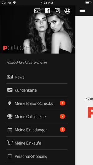 Pollozek screenshot 2