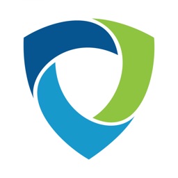 BIS Safety