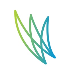 WordFlight Student