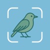 Bird Identifier: Chirply icon