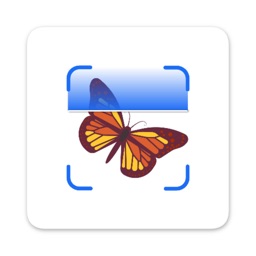 Insect - Bug Identifier