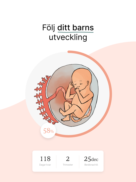 One Million Babies - Gravidapp iPad screenshot 2 - Medical app