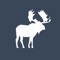 Profile Management: Manage your Moose Bar profile directly from your device