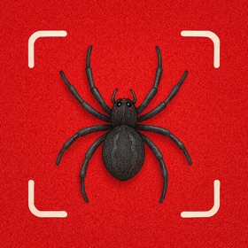 Spider Identifier - Insect ++