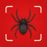 Get Spider Identifier - Insect ++ for iOS, iPhone, iPad Aso Report
