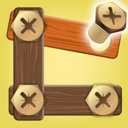 Wood Screw Pin Puzzle Game