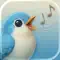 Relaxing Sounds - Radio Nature anmeldelser