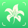 Plant Identifier: ChatPlant AI - ChatPlant Ltd.