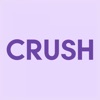 CRUSH the Memory icon