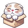 Daily Cat Emoticons icon