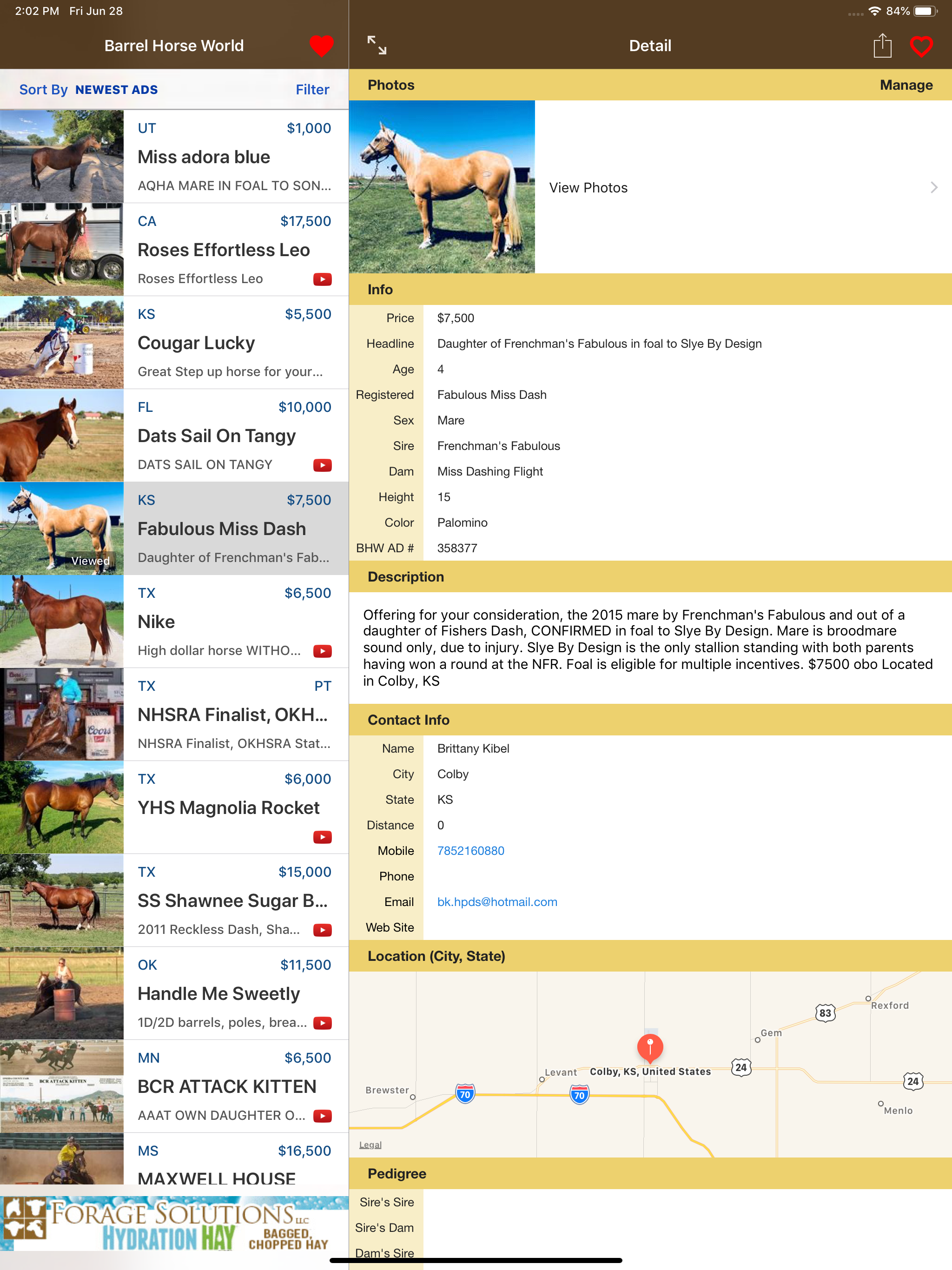 Barrel Horse World