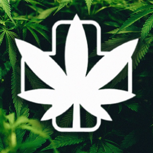 American ReLeaf Cannabis