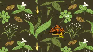 Peekaboo Forest screenshot 1